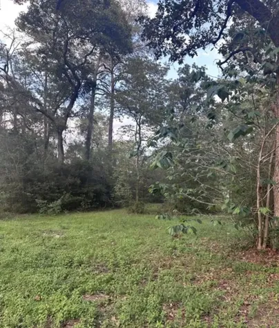 19265 Alford Road Magnolia TX 77355