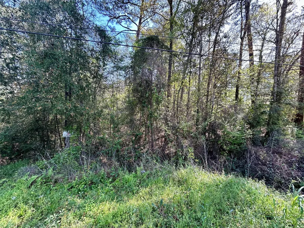 Lot 77-a Royal Lake Drive Conroe TX 77303