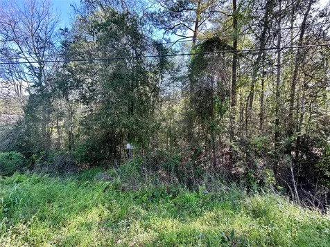 Lot 77-a Royal Lake Drive Conroe TX 77303