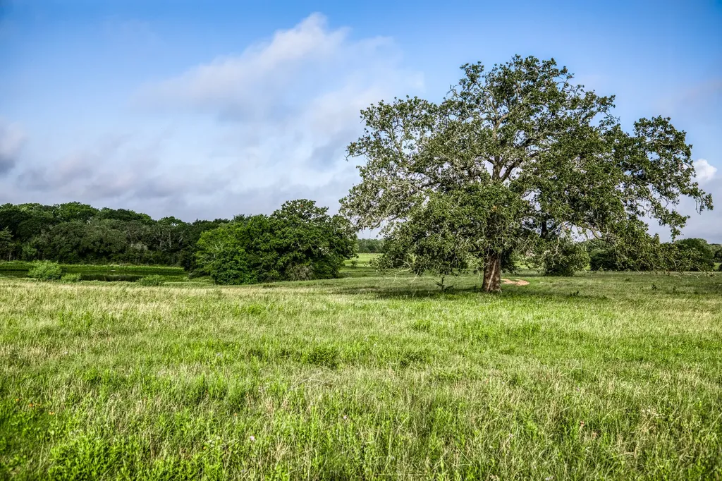Tract 5 S Nassau Road Round Top TX 78954