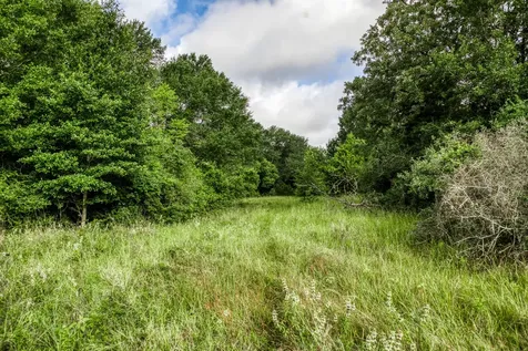Tract 5 S Nassau Road Round Top TX 78954