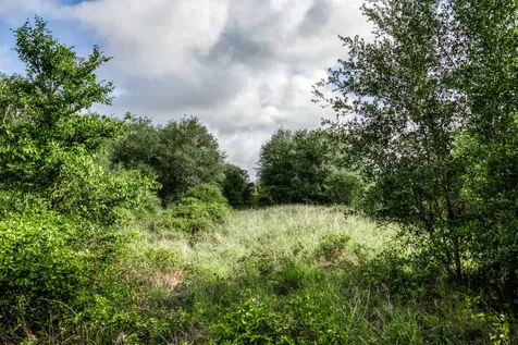 Tract 5 S Nassau Road Round Top TX 78954