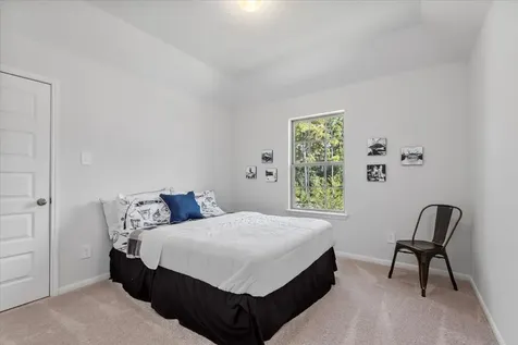 207 Ladner Court Willis TX 77318