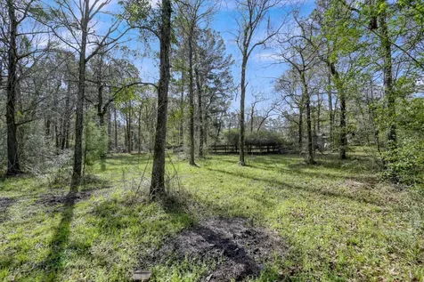 130 Cedar Court Magnolia TX 77355