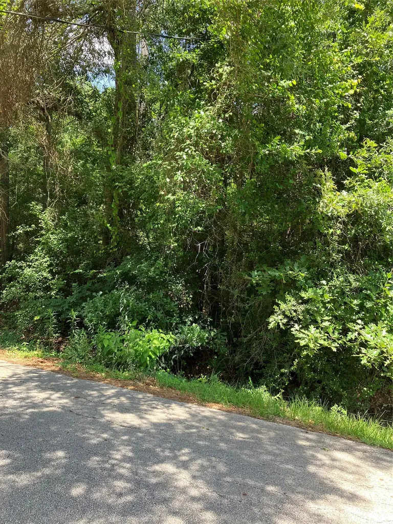 0000 Brentwood Road Splendora TX 77372