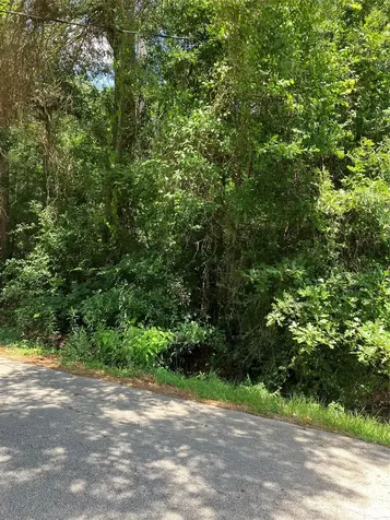 0000 Brentwood Road Splendora TX 77372