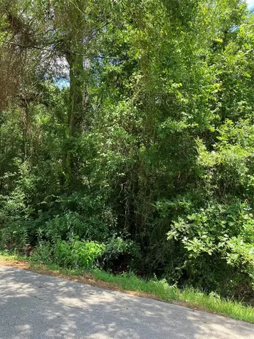 0000 Brentwood Road Splendora TX 77372