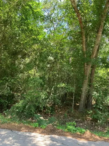 0000 Brentwood Road Splendora TX 77372