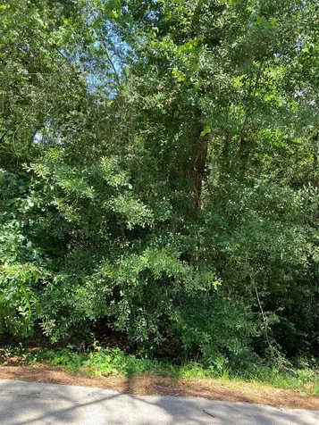 0000 Brentwood Road Splendora TX 77372