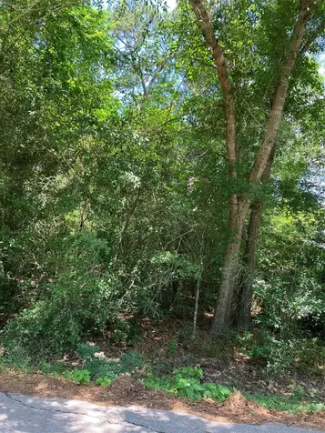 0000 Brentwood Road Splendora TX 77372