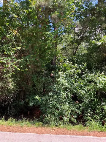 0000 Brentwood Road Splendora TX 77372