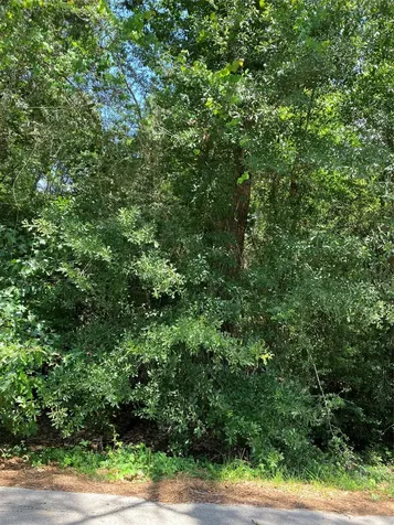 0000 Brentwood Road Splendora TX 77372