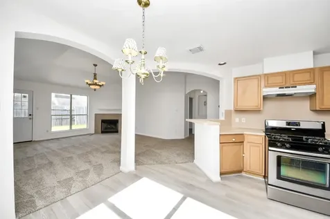 4014 Teal Vista Court Fresno TX 77545
