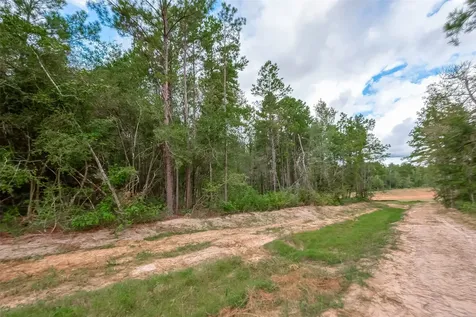 8100 High Meadow Ridge Court Montgomery TX 77316