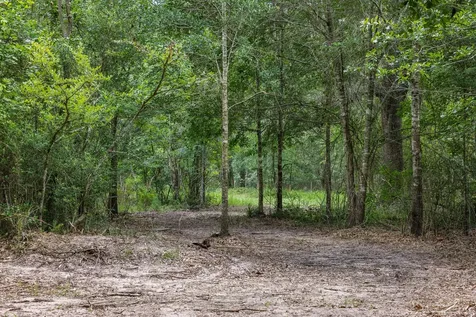 4986 Old Wagon Lane Richards TX 77873