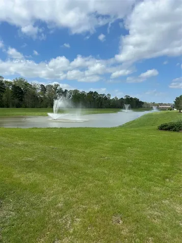21130 Alder Oaks Drive New Caney TX 77357