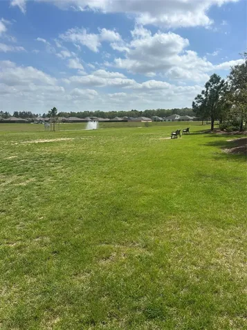 21130 Alder Oaks Drive New Caney TX 77357