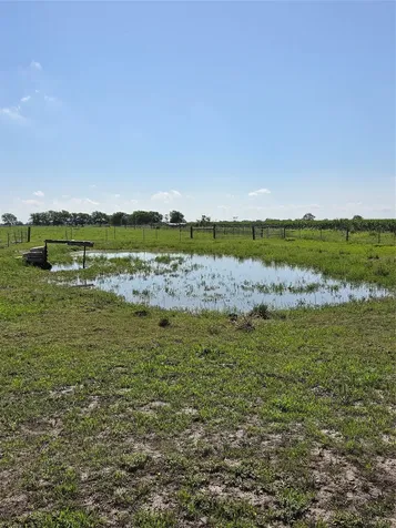 928 County Road 316 Louise TX 77455