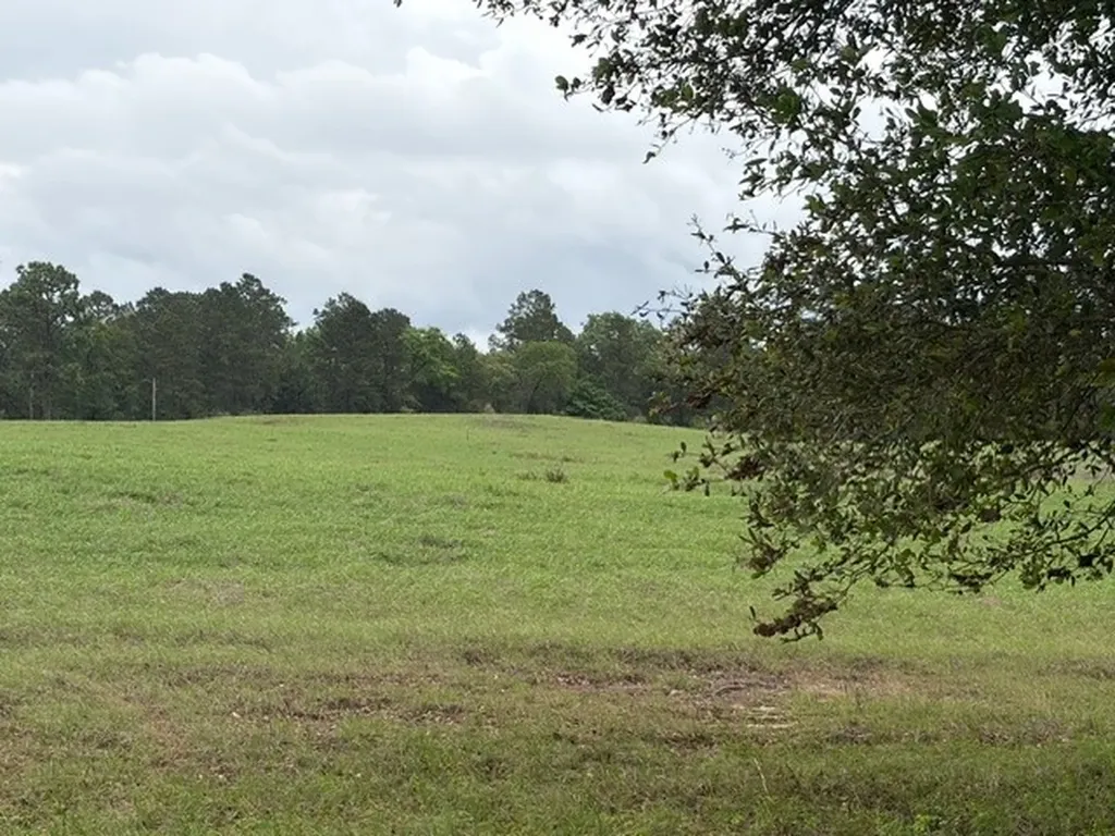 Lot 251 Lakeland Ranch Hillister TX 77624