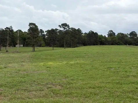 Lot 251 Lakeland Ranch Hillister TX 77624