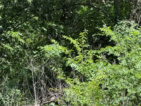 1341 & 1343 Waikiki Trail Kemp TX 75143
