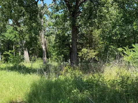1341 & 1343 Waikiki Trail Kemp TX 75143
