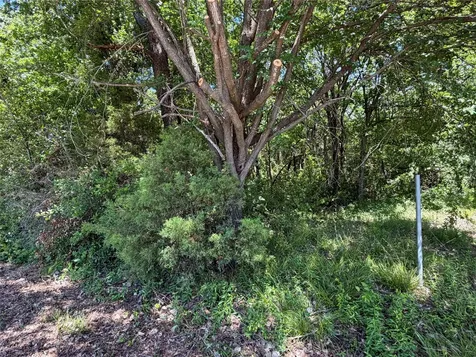 1341 & 1343 Waikiki Trail Kemp TX 75143