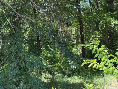 1341 & 1343 Waikiki Trail Kemp TX 75143