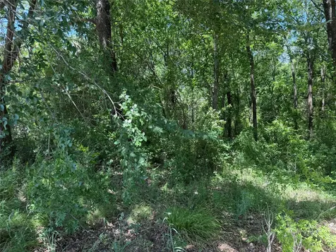 1341 & 1343 Waikiki Trail Kemp TX 75143