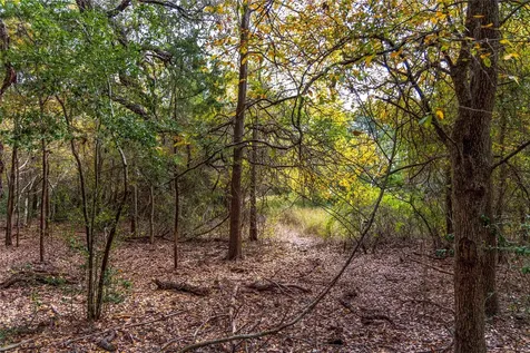 1250 Ladewig Lane Flatonia TX 78956