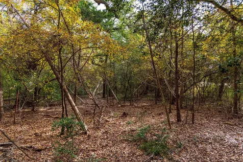 1250 Ladewig Lane Flatonia TX 78956