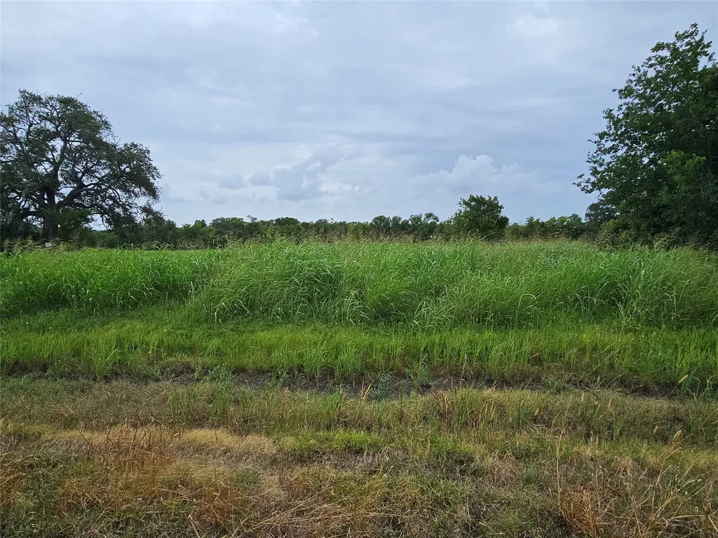 382 Pony Trail Angleton TX 77515