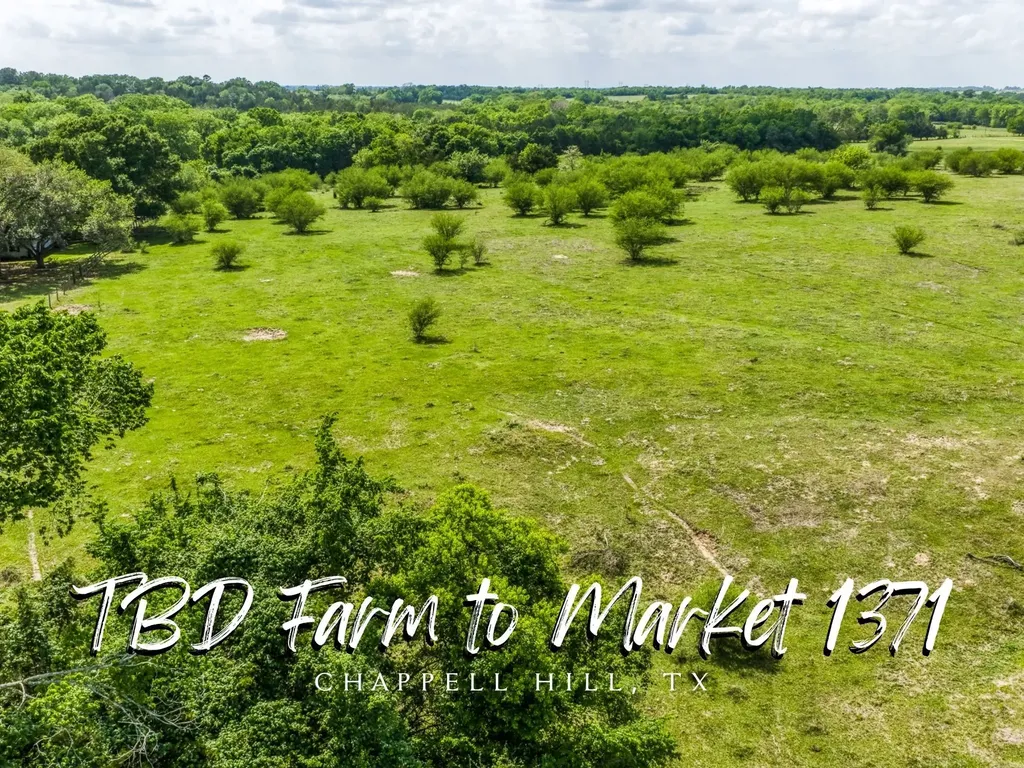 Tbd Farm To Market 1371 Chappell Hill TX 77426