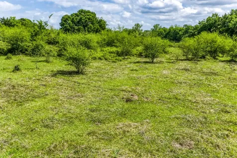 Tbd Farm To Market 1371 Chappell Hill TX 77426