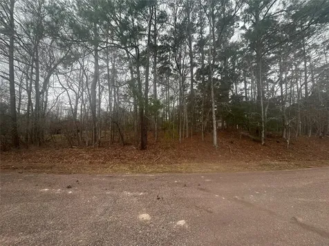 101 S Royale Greens Drive Coldspring TX 77331