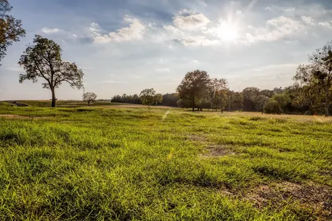 Tbd Sunny Meadow Lot 18 Drive Chappell Hill TX 77426