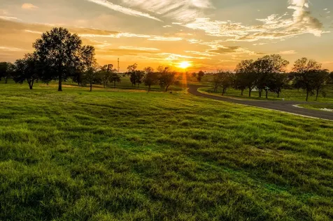 Tbd Sunny Meadow Lot 18 Drive Chappell Hill TX 77426