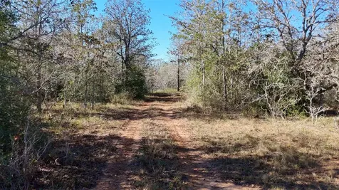 Tract 2 County Road 283 Harwood TX 78632
