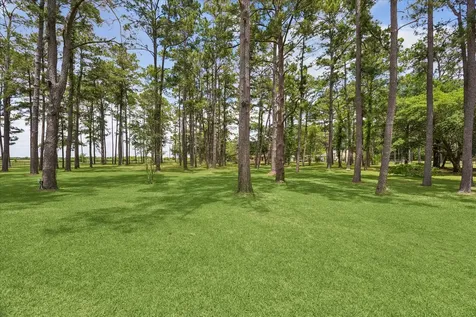 4803 County Road 197 Alvin TX 77511