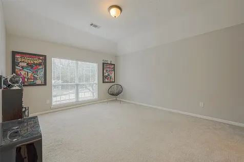 4202 Stone Oak Court Missouri City TX 77459