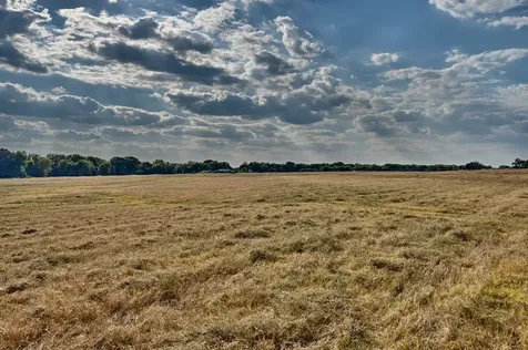 42 Acres Ganske Road Burton TX 77835