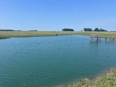 42 Acres Ganske Road Burton TX 77835