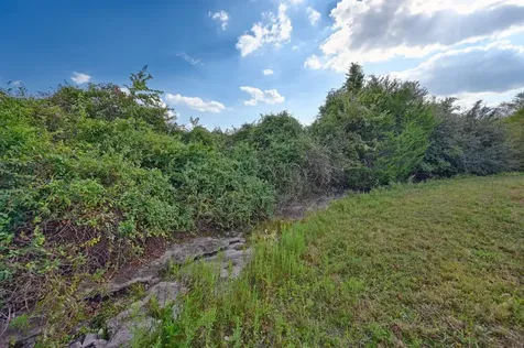 42 Acres Ganske Road Burton TX 77835