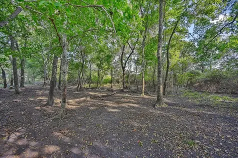 42 Acres Ganske Road Burton TX 77835
