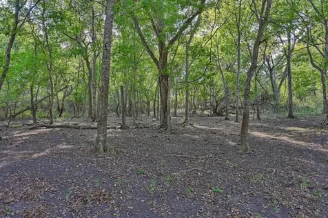 42 Acres Ganske Road Burton TX 77835