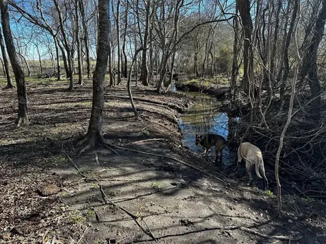 42 Acres Ganske Road Burton TX 77835