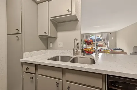 4649 Wild Indigo Street 336 Houston TX 77027