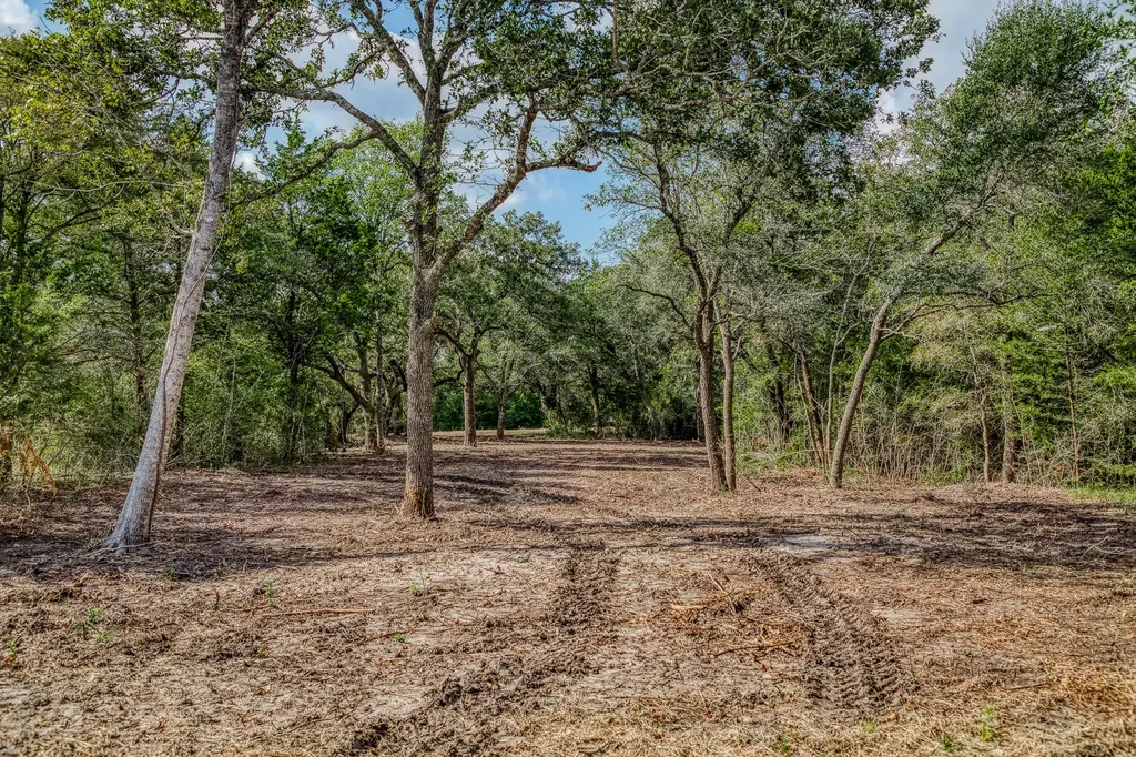 Tract 5 Sun Oil Road Brenham TX 77833