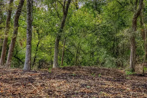 Tract 5 Sun Oil Road Brenham TX 77833