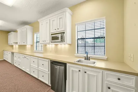 15 Crestone Place The Woodlands TX 77381